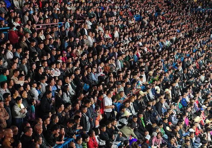 场面火爆!高尔夫观众席沸腾不已的简单介绍 场面火爆!高尔夫观众席沸腾不已的简单介绍