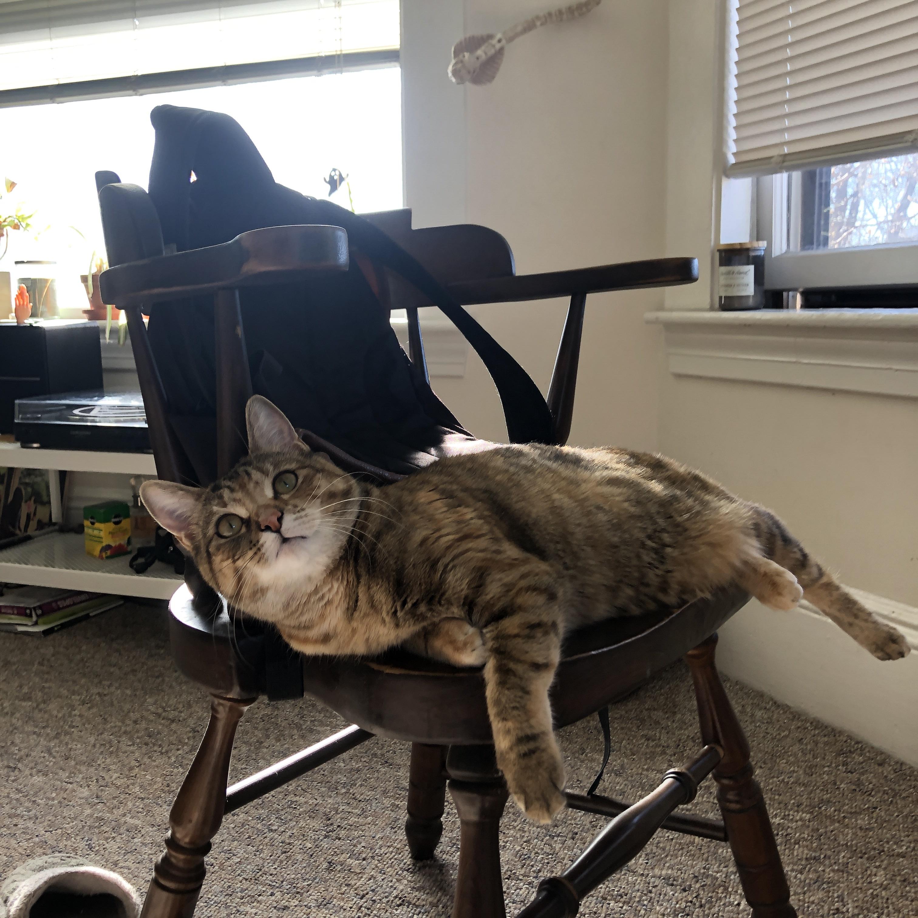 引擎轰鸣与火力封锁，英格拉姆爆发引领开拓者碾压黄蜂