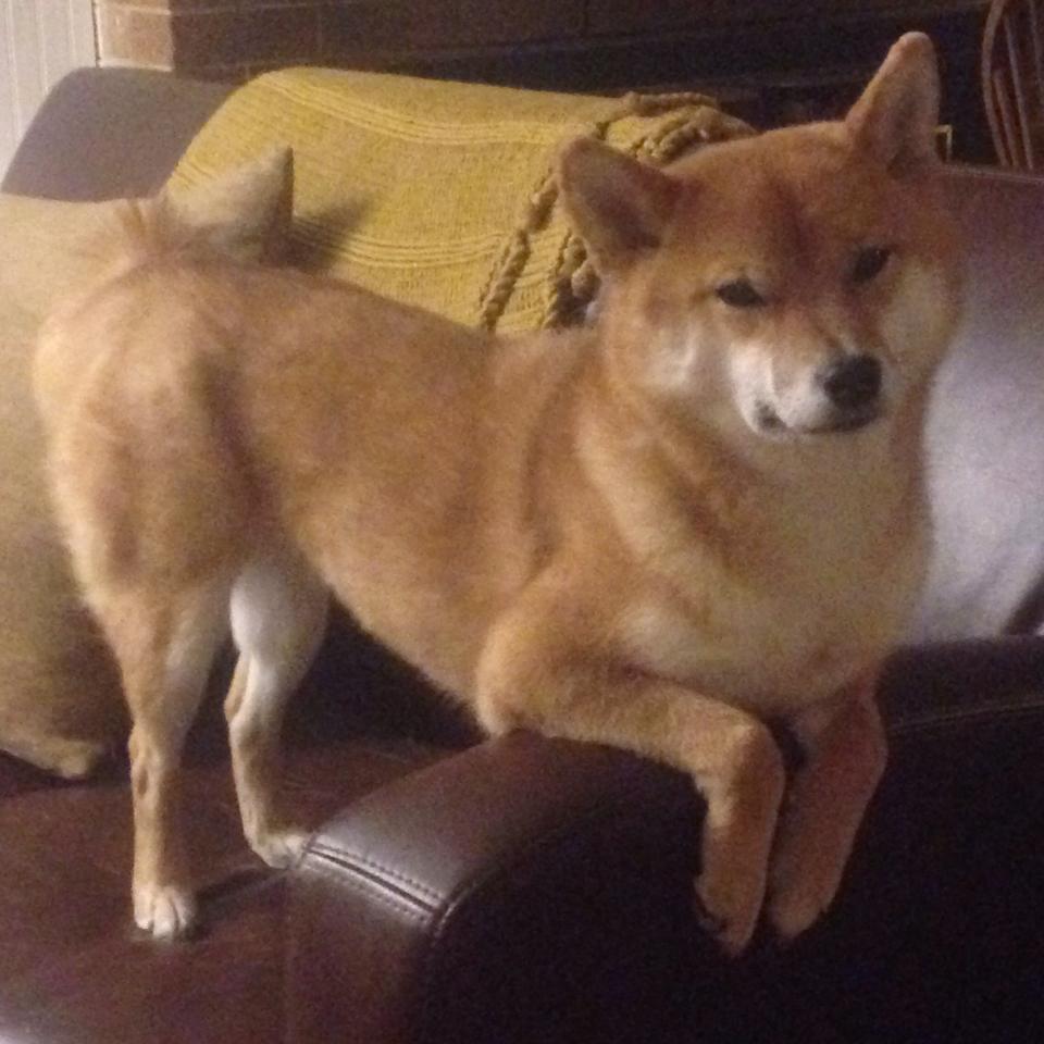 当哈登右脚轻点皮球,斯坦福桥球场突然成了他的魔法篮球场