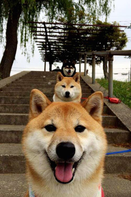 地缘战火与绿茵传奇，伊拉克击溃塞内加尔的石油足球，与迪巴拉抢七接管比赛的孤胆英雄