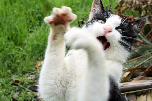 跨界主宰！平行世界篮球大战，恩比德单骑定乾坤，深圳队极限逆转森林狼