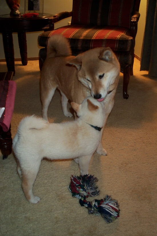 从精准调度到钢铁防线，基米希的蜕变让艺术之都扼住雷恩的咽喉