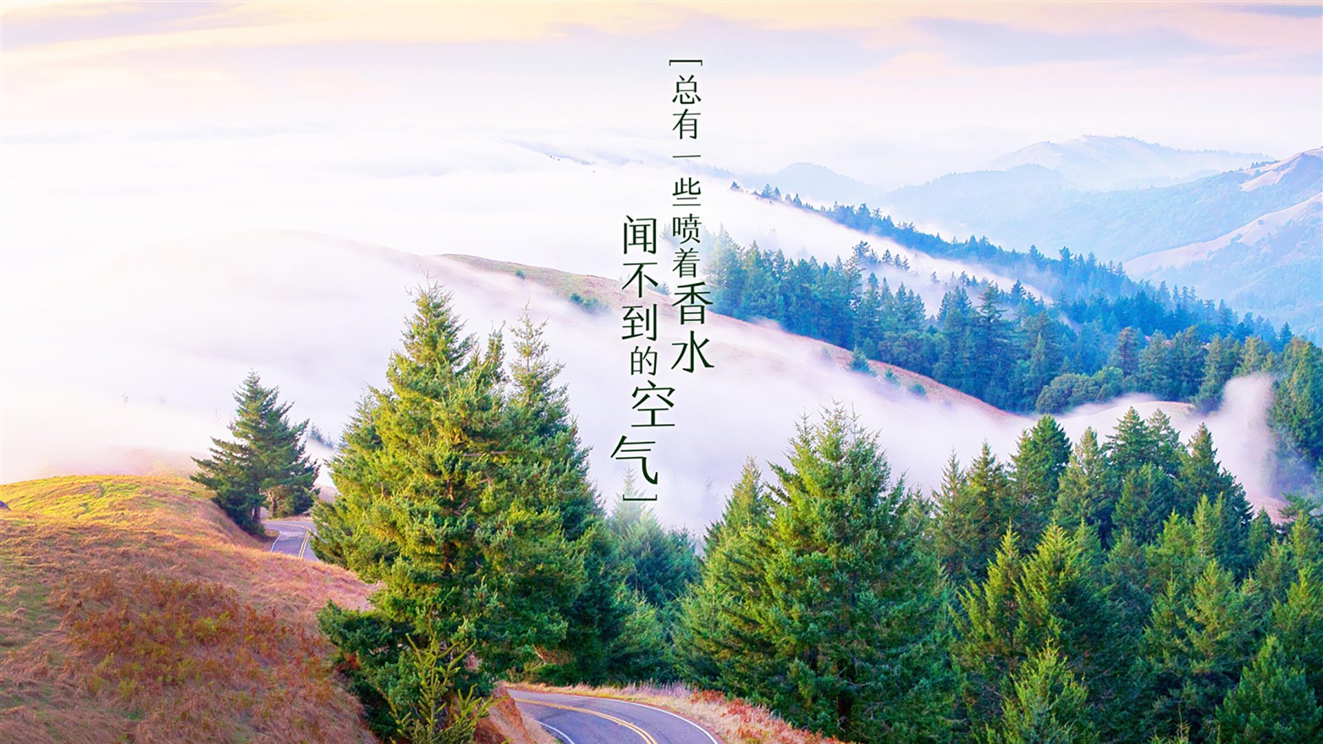 神隐的引擎,坎特如何在对阵洪都拉斯的比赛中诠释存在感拉满