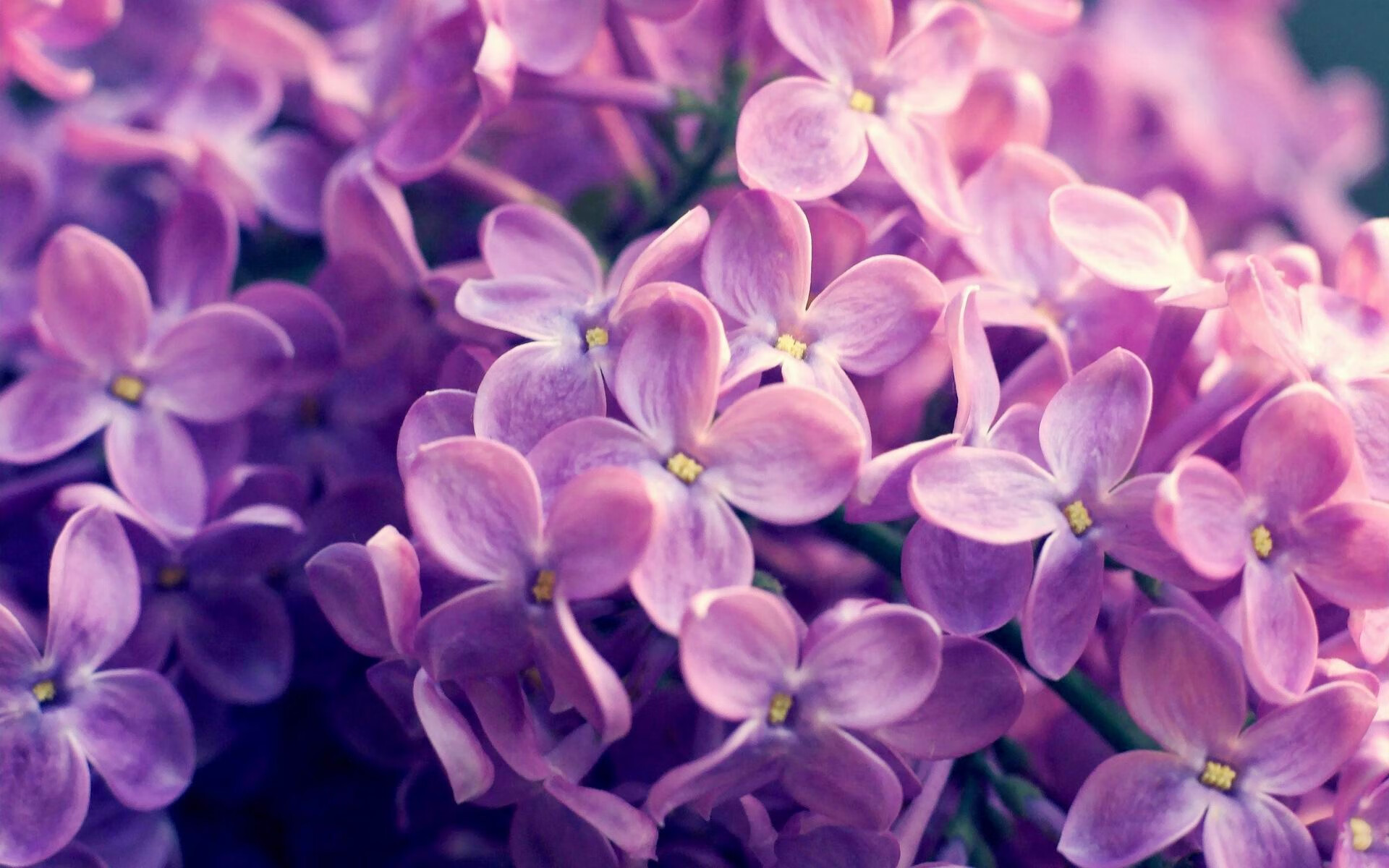 巴黎新铁塔，巴斯托尼门线前0.01秒的定义性存在