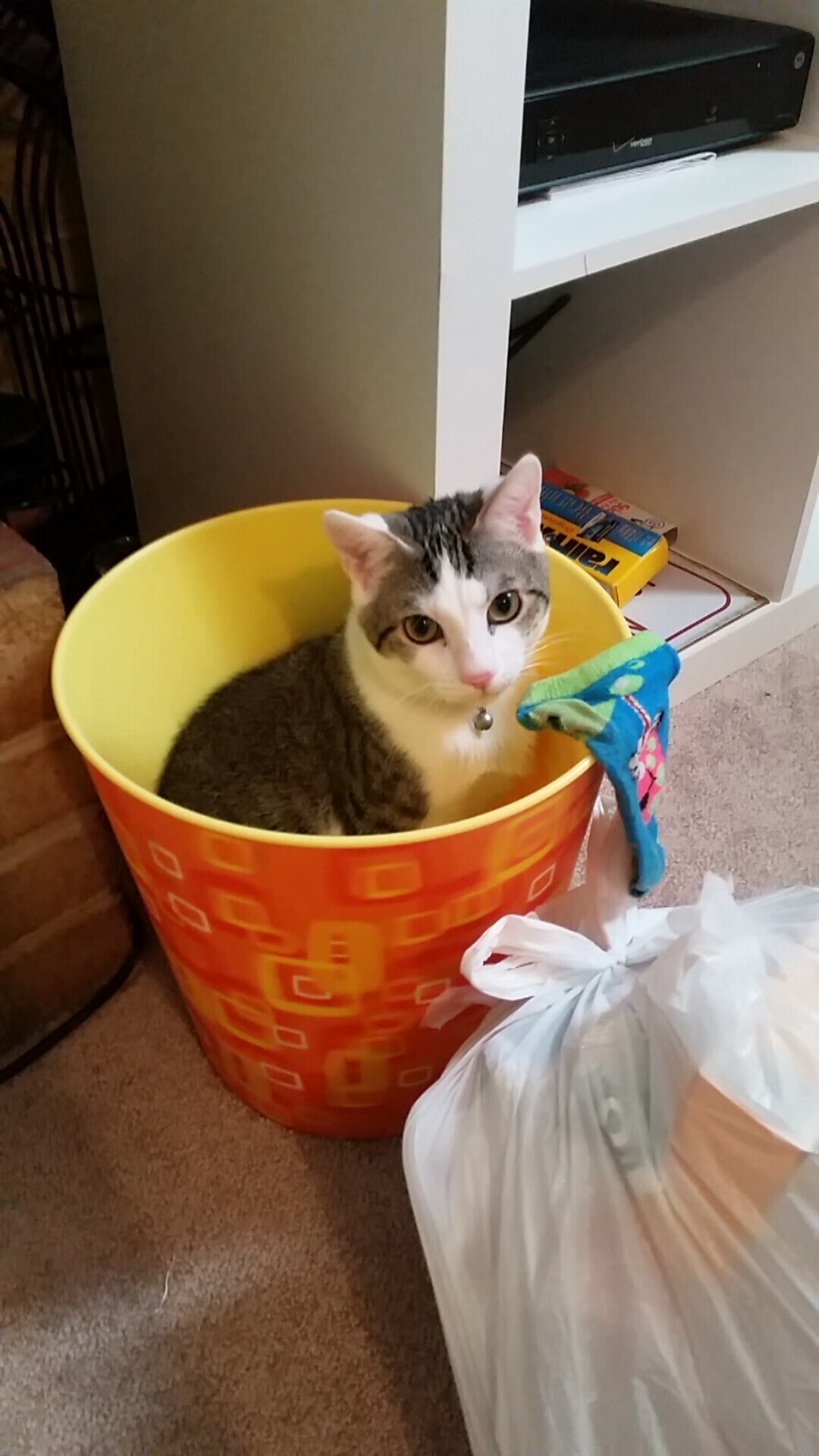 双线战场，迪巴拉的攻防艺术与挪威的战术铁幕