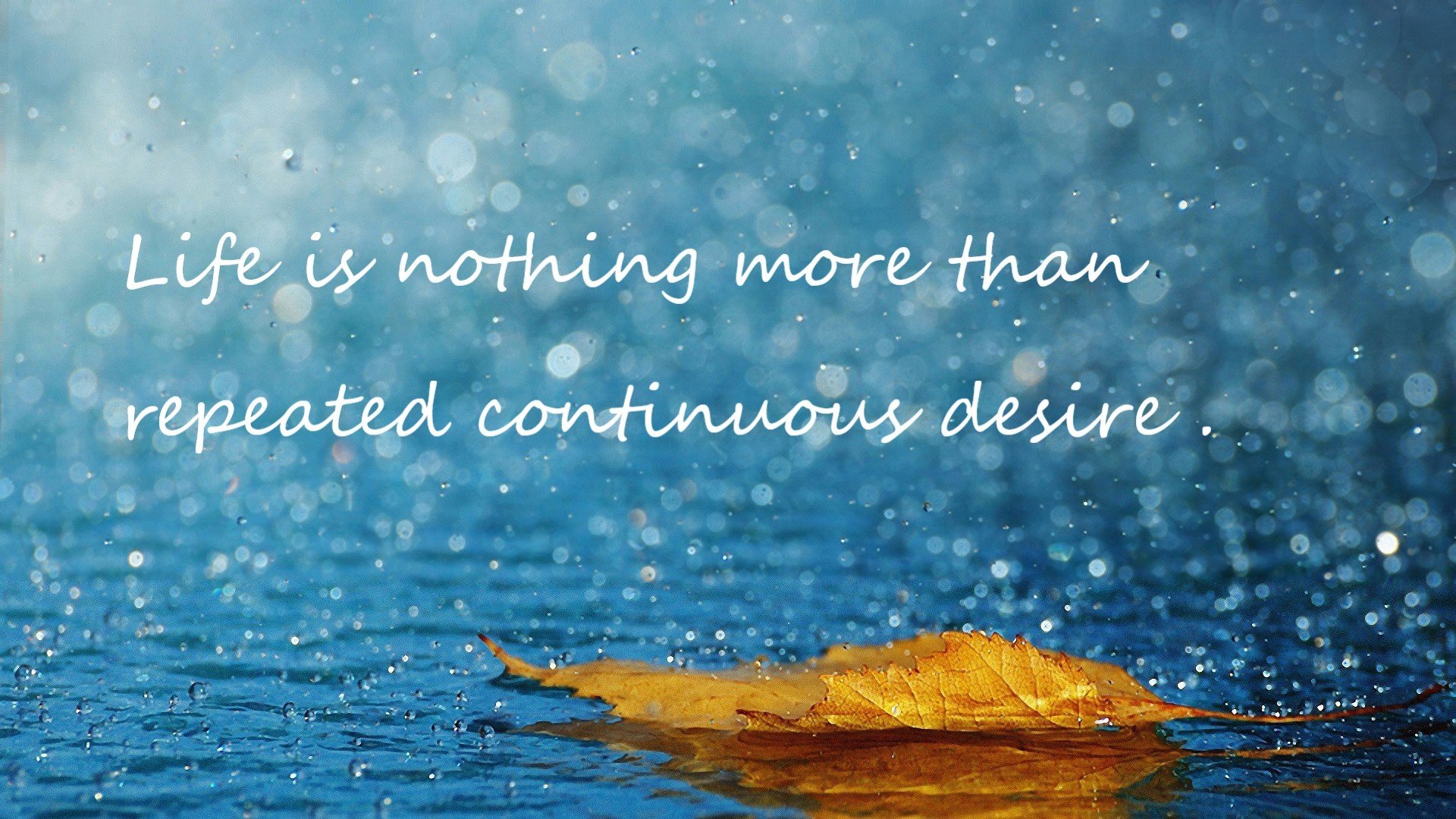 灰熊赛场即宣言，杰伦·格林用今日统治，预言2026世界杯接管