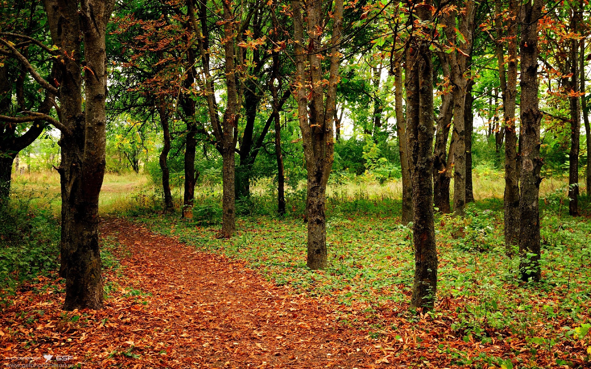 硬仗见真章，劳塔罗用节奏为秘鲁刻下胜利密码