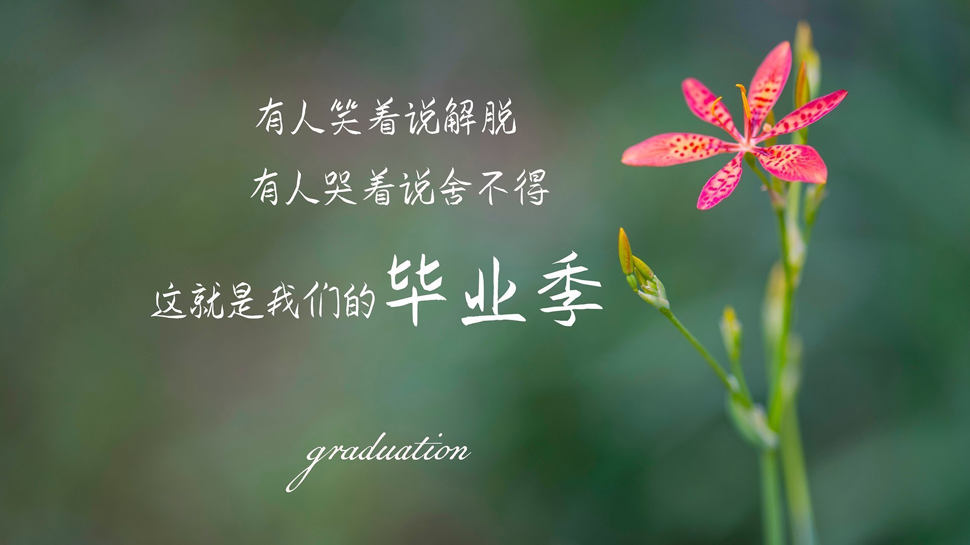 安联奇迹夜！土耳其新军力斩德甲巨人，哈弗茨一剑封喉定义新关键先生