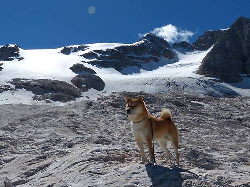 越洋电话定乾坤！深圳队绝境逢生，恩比德深夜支招成逆转密钥