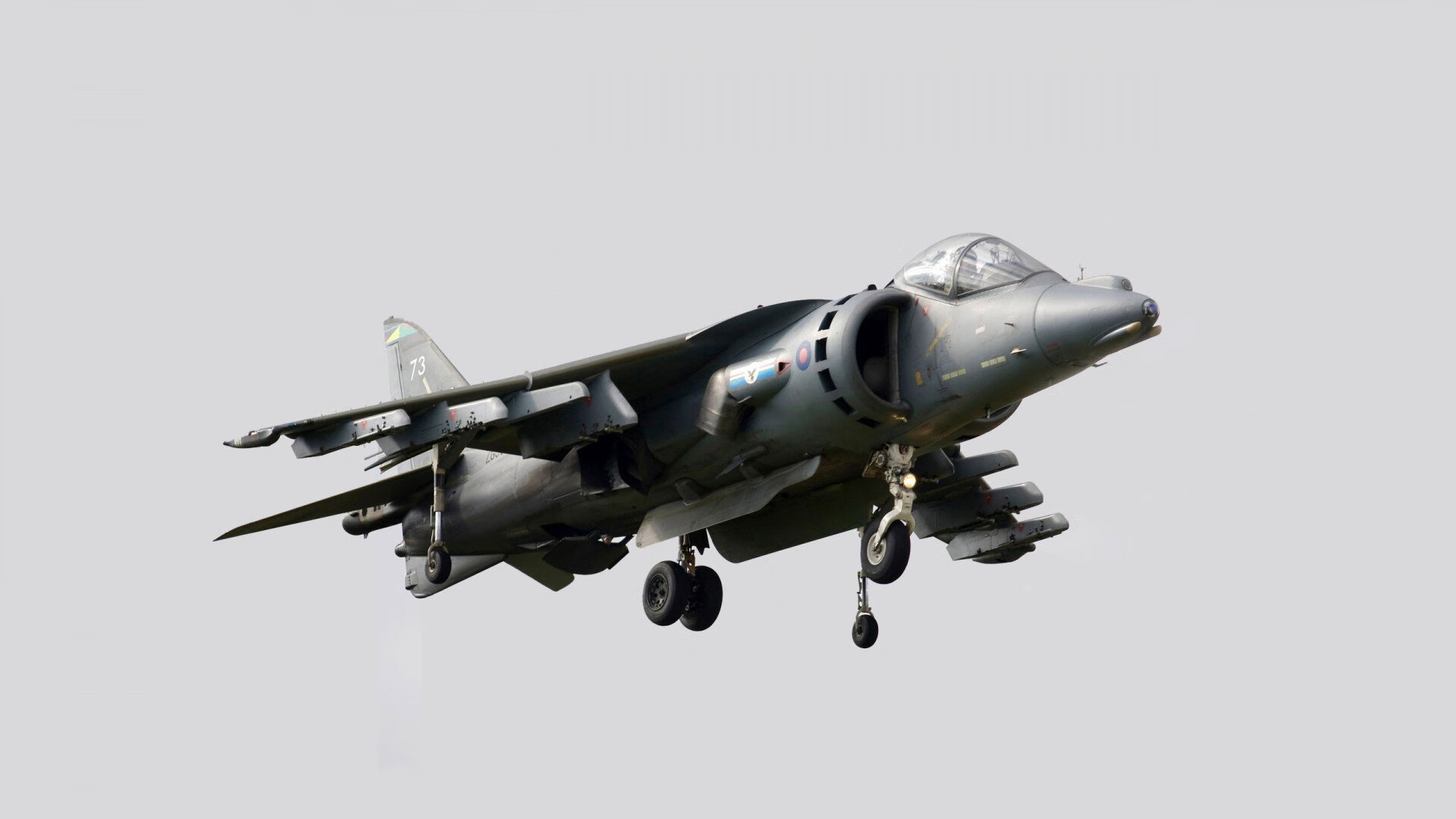 当雄鹿遇上紫禁城，武切维奇的两万分对话