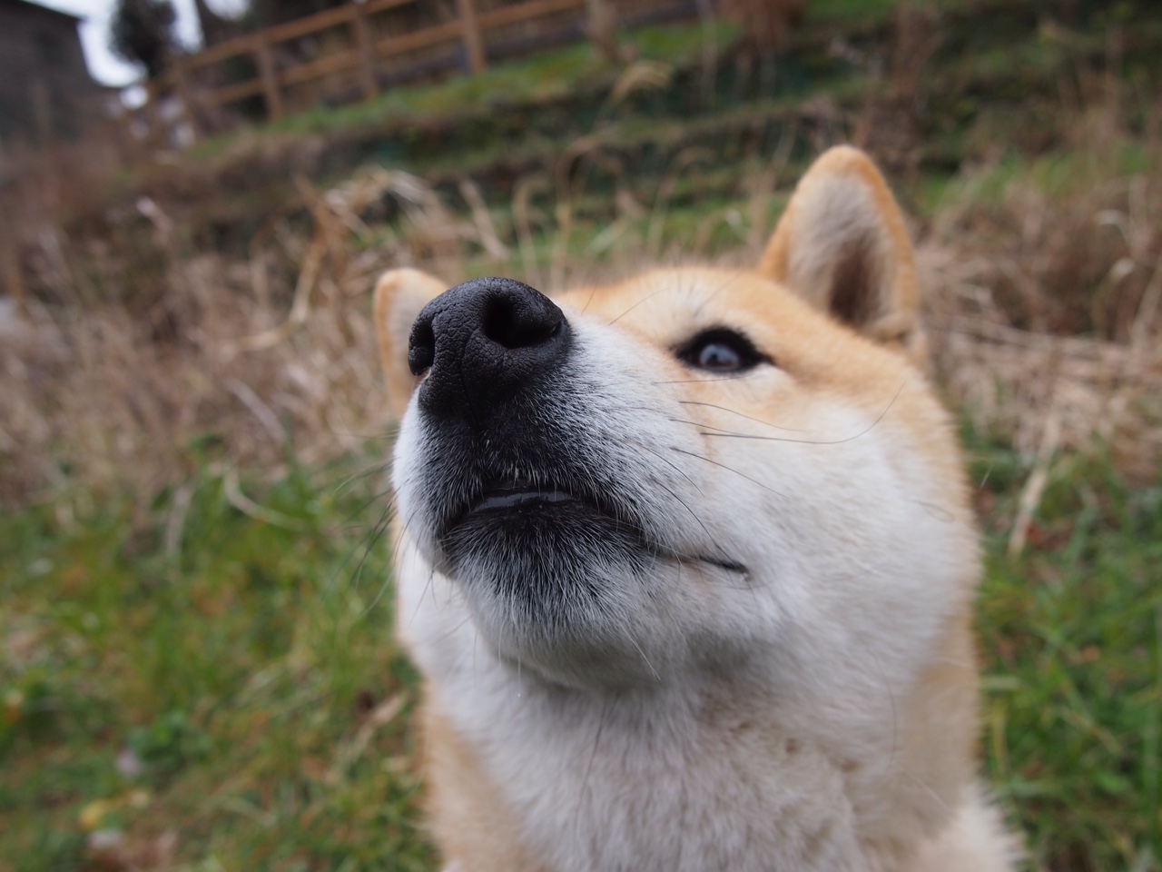 逆转乾坤！末节惊魂火箭险胜吉林，浓眉主宰关键节奏