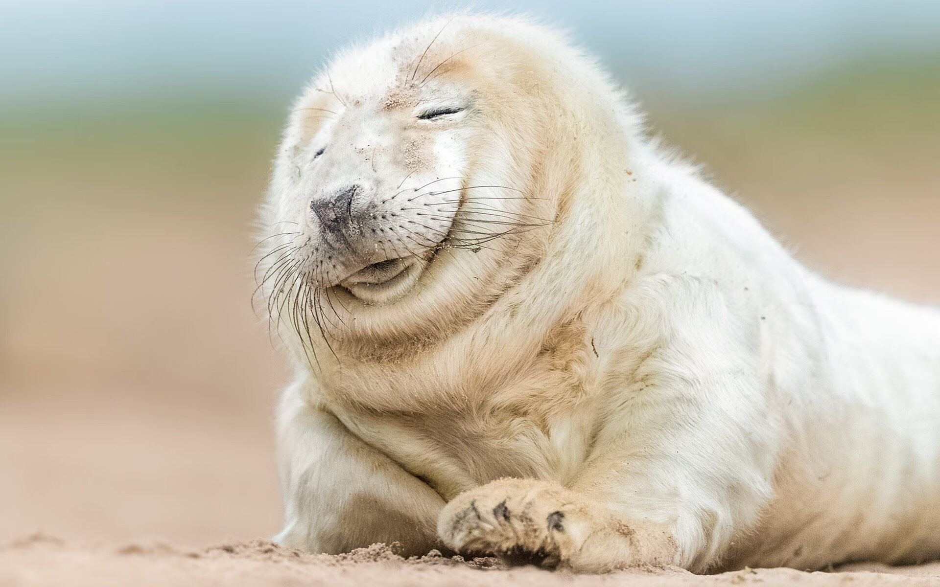 引擎与绿茵的共振，孔德在F1揭幕战之夜的巨星启示