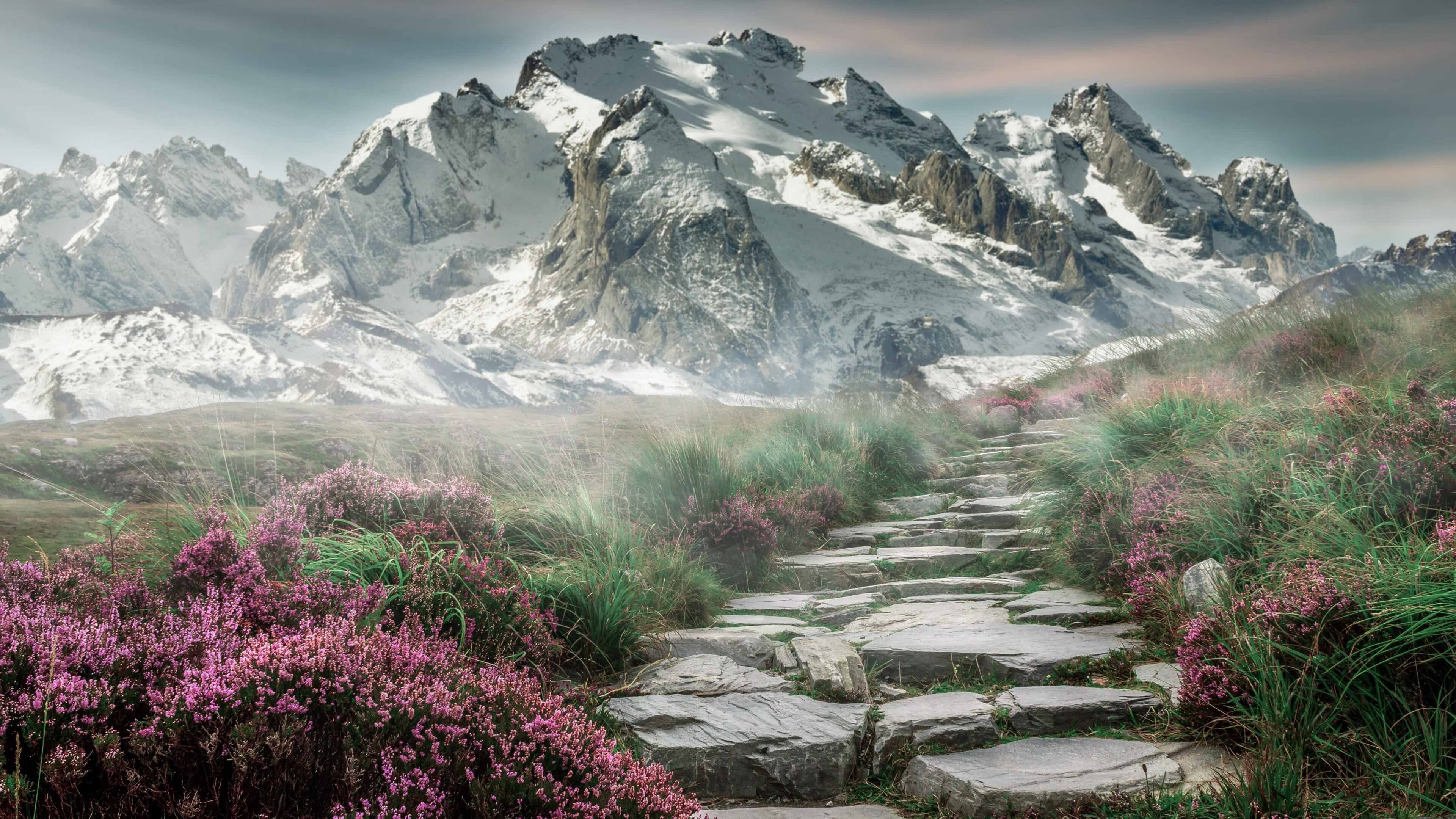 德甲争冠夜，马克西一人画笔，绘就金色传奇