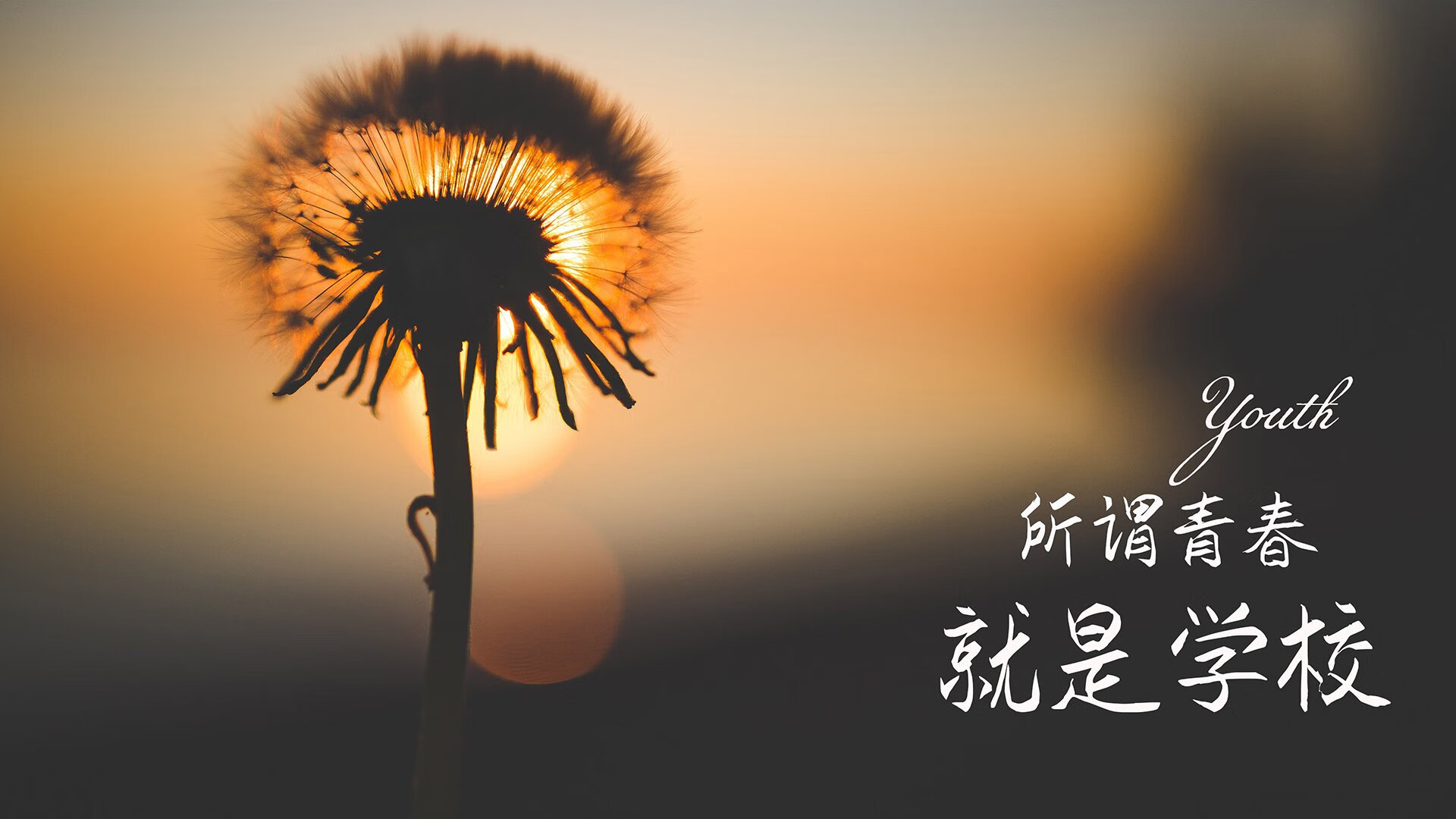 G组唯一悬念,葡萄牙5-0突尼斯,萨卡魔幻舞步导演大捷,替补奇兵一剑封喉