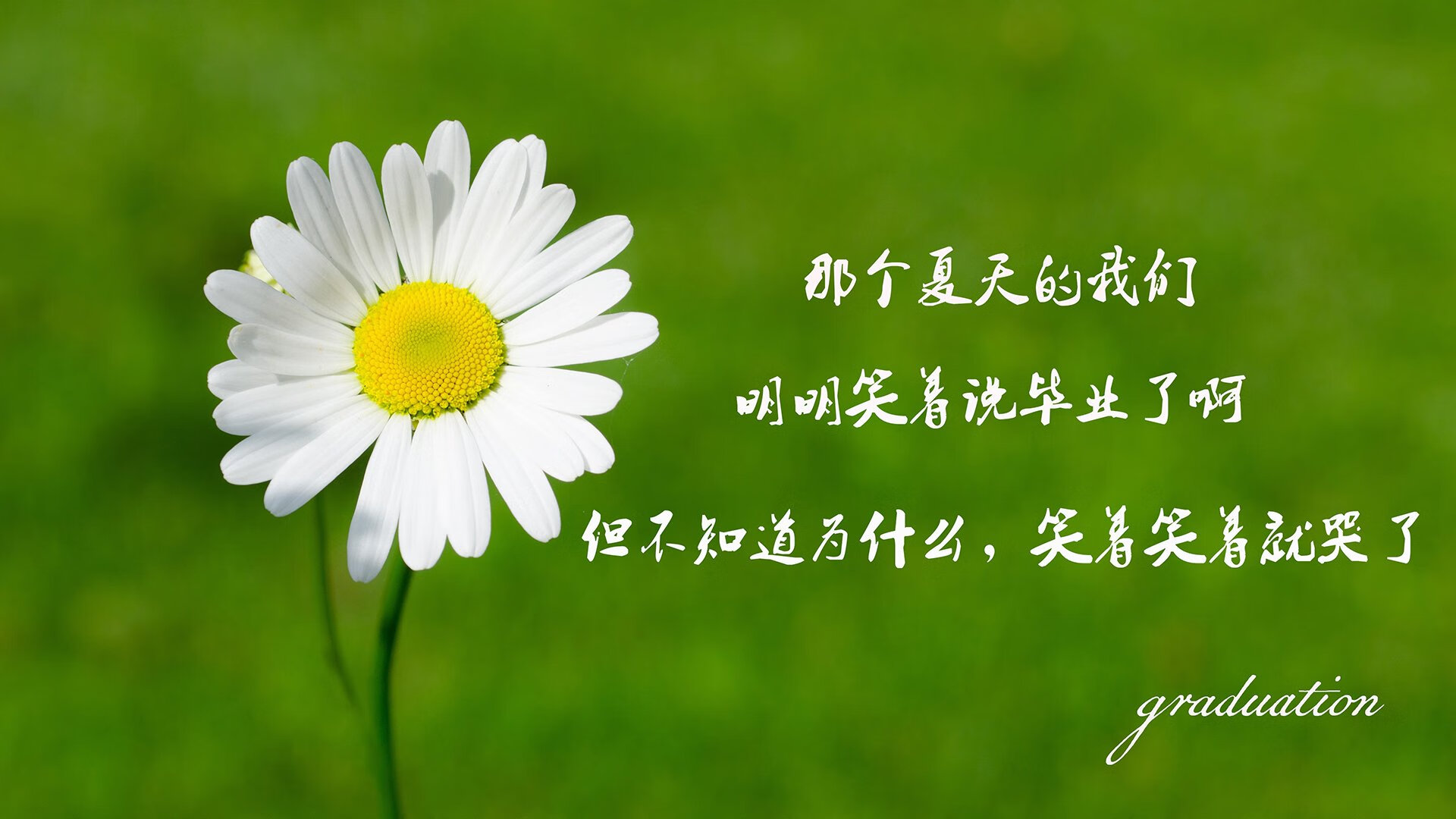 首先，把握核心要素